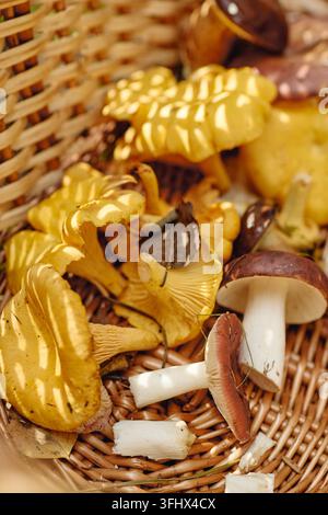 Champignons sauvages frais et champignons des bois dans un panier en osier Banque D'Images