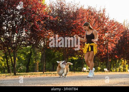 Possession d’animaux de compagnie et style de vie actif, jeune femme jouant avec son chien corgi dans un parc pendant l’automne avec une lumière chaude et un feuillage rouge Banque D'Images