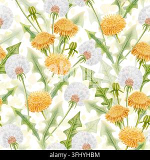 Motif dessiné à la main en aquarelle sans couture avec des fleurs de pissenlit jaunes, des têtes de graines blanches et duveteuses et des feuilles vertes. Banque D'Images