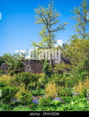 Les Northernhay Gardens d'Exeter ont été aménagés pour la première fois en 1612 sur fond des murs romains vieux de 2000 ans. Exeter, Devon, Angleterre, Royaume-Uni. Banque D'Images