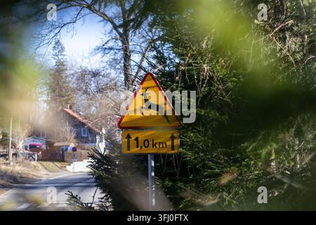 Un panneau de signalisation triangulaire alerte les automobilistes sur la présence d'animaux sur la route à venir, soulignant la sécurité tant pour la nature que pour les usagers le long d'une route forestière paisible Banque D'Images