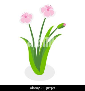 Illustration plate isométrique en 3D d'une collection de fleurs, ensemble de plantes en fleurs variées. Article 8 Banque D'Images