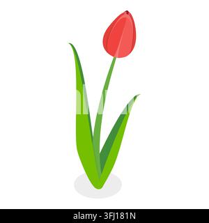 Illustration plate isométrique en 3D d'une collection de fleurs, ensemble de plantes en fleurs variées. Article 9 Banque D'Images