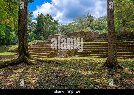 Temple maya dans la forêt tropicale, Caracol, Belize. Banque D'Images
