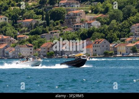 4 juillet 2026, Kotor, Monténégro, Un hors-bord noir et jaune se déplace rapidement sur une eau bleue vif et agitée, traçant un sillage blanc devant le rivage ensoleillé Banque D'Images