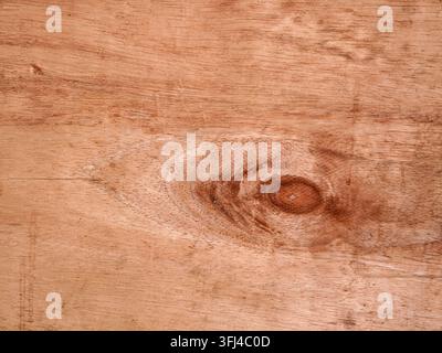Macro détaillée de la texture naturelle en contreplaqué brun avec motif de veinures de bois et détails de nœuds. Banque D'Images