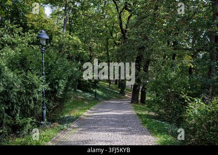 Allée pavée avec des lampadaires traditionnels serpentant à travers des arbres matures dans le jardin Kinsky. Banque D'Images