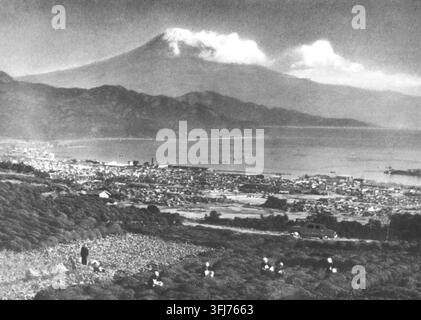 Photo vintage du mont Fuji vu depuis les champs de thé de Nihondaira, préfecture de Shizuoka, Japon - 1953-1954 Banque D'Images