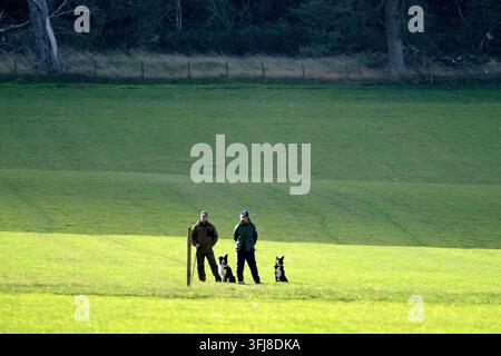 Lauder, Royaume-Uni. 19 sep, 2026. Jour 3, Jour des demi-finales, aux épreuves mondiales de chiens de berger de l'ISDS (International Sheep Dog Society) qui se tiennent à la ferme Huntington, près de Lauder dans les Scottish Borders. 17-20 septembre 2026. Les bergers et les chiens observent le terrain d'essai après avoir géré les moutons utilisés pendant l'événement. (Crédit image : Rob Gray/Alamy Live News) Banque D'Images