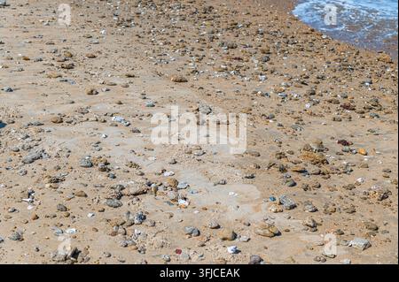 Détail en gros plan d'une plage de sable parsemée de nombreuses petites pierres et coquillages éparpillés à la surface, avec une petite zone d'eau peu profonde visible dans un coin Banque D'Images
