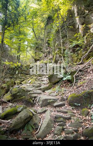 Chemin de pierre sinueux traversant une forêt verdoyante avec une porte en bois et des murs moussus Banque D'Images
