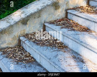 Escaliers extérieurs en béton accumulant des feuilles d'eucalyptus sèches, montrant la négligence et la décomposition automnale Banque D'Images