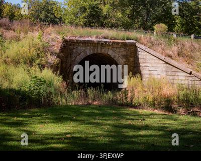 Ancien culot en pierre en arc et ouverture sombre d’un tunnel entourée d’herbe verte luxuriante et de végétation sauvage envahissante par une journée ensoleillée Banque D'Images