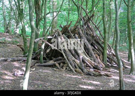 Un camp forestier fait d'une pile de branches Banque D'Images