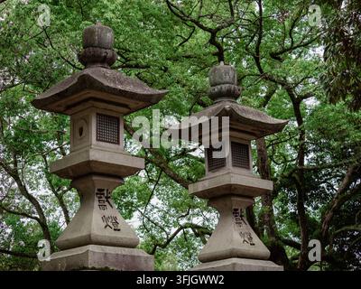 Lanternes en pierre avec inscriptions japonaises entourées d'arbres verts à un sanctuaire à Nara, Japon Banque D'Images