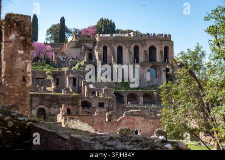 Rome, Italie – 09 avril 2026 – Photographie montrant les ruines anciennes et les restes structurels de la colline du Palatin historique vue depuis l’archéologie inférieure Banque D'Images