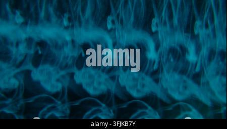goutte de fumée floue. Teinture de fumée. Nuage de pigment lumineux bleu qui s’étale sur un fond d’art abstrait. Banque D'Images
