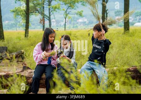 Trois enfants assis sur une souche de pin tombée jouant avec des tiges d'herbe dans une prairie verte, Chi Linh, Hai Phong, Vietnam Banque D'Images