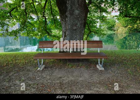 Banc en bois vide à l'ombre d'un grand arbre vert sur un chemin de parc, face à une eau de rivière calme et réfléchissante et à une végétation estivale luxuriante. Banque D'Images