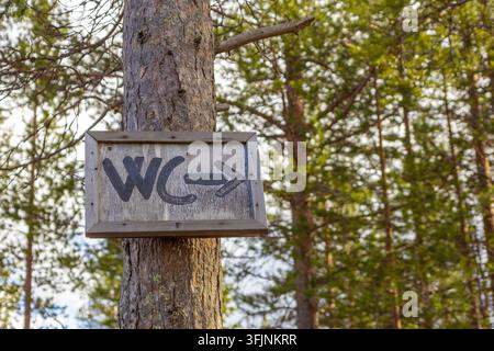 Un gros plan d'un panneau en bois rustique avec un texte WC peint à la main et une flèche pointant vers la droite, monté sur un pin dans une forêt luxuriante et verte Banque D'Images