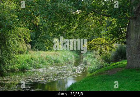 river wensum, fakenham, norfolk, angleterre Banque D'Images