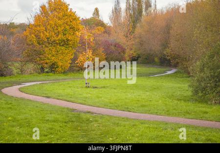 Chemin de gravier sinueux à travers une forêt d'automne dans le parc Alexandra au nord de Londres Banque D'Images