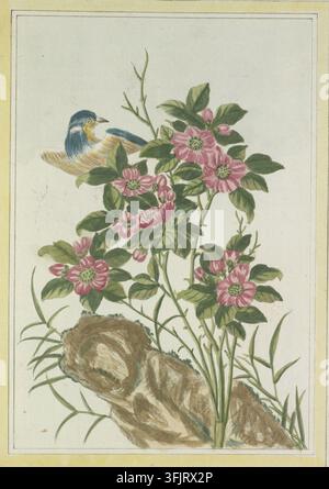 Illustration de plaque de livre représentant Pl LXXXXVII La m me que celle de la Plance 3 e, communément connue sous le nom de rose, tirée de la Collection précieuse et enluminée des fleurs les plus belles et les plus curieuses dirigée sous les soins et la conduite de Mr Buc'hoz. Vol 1, daté de 1776. Une scène botanique montrant une branche avec des feuilles vertes et plusieurs fleurs roses à centres verts, un rocher brun texturé à la base, des tiges vertes élancées et des graminées, ainsi qu'un petit oiseau au plumage bleu, jaune et brun perché parmi le feuillage. Banque D'Images