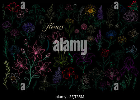 Ensemble de fleurs élégantes colorées en ligne simple. Dessiné à la main. Pas d'IA. Illustration vectorielle. Illustration de Vecteur
