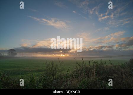 Les rayons dorés du soleil percent à travers la brume basse et les nuages épars, illuminant un vaste champ agricole verdoyant dans la campagne de Looe, Cornouailles, Angleterre. Banque D'Images