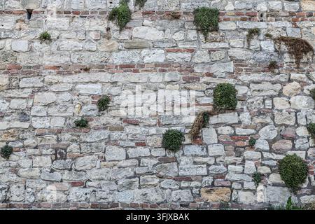 Pierre de maçonnerie historique érodée & mur de briques + plantes poussant dans les fissures, Kalemegdan, Forteresse de Belgrade, Serbie Banque D'Images