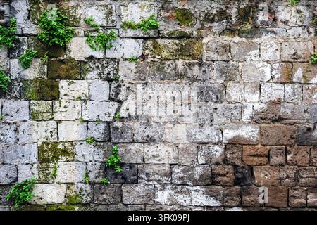 Vieille texture de mur de pierre affichant des blocs rugueux avec de la mousse et des plantes vertes en croissance Banque D'Images