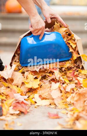 Mains utilisant un ramasse-poussière bleu pour ramasser des feuilles tombées dans un sac brun, Ottawa, Ontario, Canada Banque D'Images