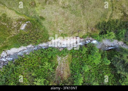 Nature sauvage alpine et conservation de la nature, vue aérienne d’un ruisseau de montagne traversant des prairies verdoyantes et une forêt dense dans les Alpes de Kitzbühel Banque D'Images