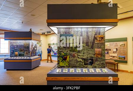 Arkansas, États-Unis, 07 avr. 2024 - Des panneaux d'information et des spécimens botaniques sont exposés sur des comptoirs bleu foncé dans une galerie de musée lumineuse. Banque D'Images