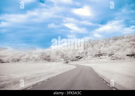 Une route sinueuse traverse une zone rurale avec des arbres sur les côtés. La scène montre des détails infrarouges avec un ciel bleu clair au-dessus. L'atmosphère semble Banque D'Images