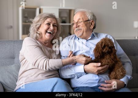 Couple de personnes âgées riant et se relaxant sur un canapé avec un chien poodle Banque D'Images