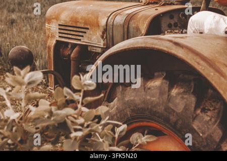Rome, Italie 16 septembre 2026 : tracteur agricole usé, recouvert de rouille, immobile dans un champ rural envahi par la végétation, montrant la décadence Banque D'Images