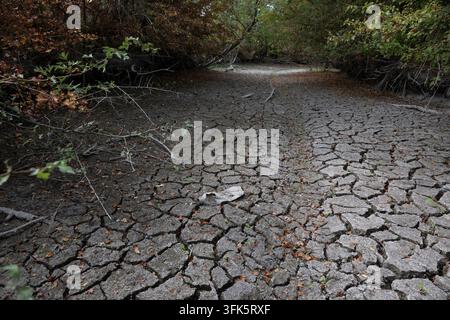 Aytré (ouest de la France), 28 août 2025 : un lit de rivière asséché en été, sécheresse, manque de précipitations et canicule dans le marais desséché. Le desséché et Banque D'Images
