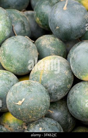 Melons confits à vendre en automne sur un étal de marché Banque D'Images