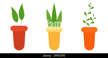 Ensemble de trois plantes d'intérieur en pot de différentes couleurs Illustration de Vecteur