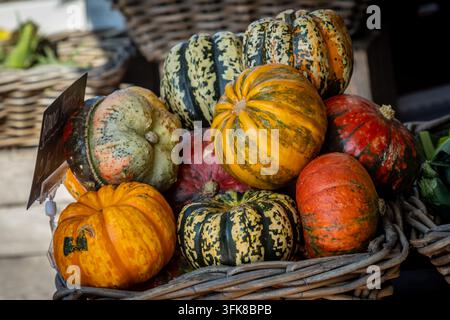 Une sélection de courges d'hiver exposées à la vente sur un étal de marché Banque D'Images