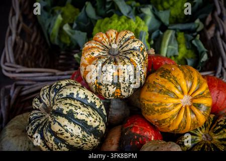 Courge d'hiver sur un étal de marché, avec une profondeur de champ peu profonde Banque D'Images