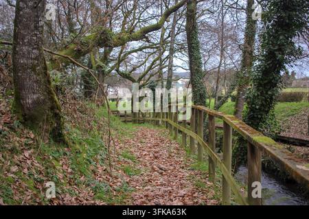 Un sentier boisé serein couvert de feuilles d'automne sèches à côté d'une clôture en bois et d'un petit ruisseau qui coule. Banque D'Images