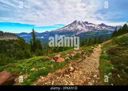 Un sentier accidenté serpente à travers des fleurs sauvages et une forêt de feuillus vers le mont Rainier dans l'État de Washington. La région de Paradise et le sentier Pinnacle créent un sentiment Banque D'Images