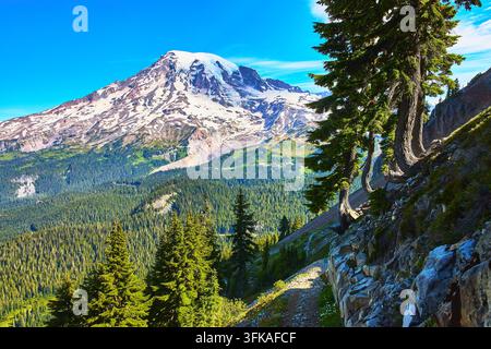 Mont Rainier, montagne à sommet enneigé avec forêt de feuillus persistants et sentier de randonnée en été Banque D'Images