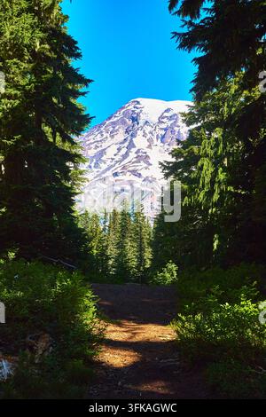 Sommet enneigé du mont Rainier encadré par une forêt de feuillus persistants et un sentier de randonnée baigné de soleil Banque D'Images