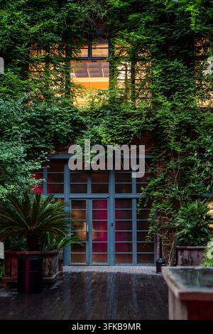Façade de bâtiment vert recouverte de vignes grimpantes, portes d'entrée en verre et fenêtres supérieures ouvertes Banque D'Images