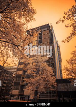 Un grand bâtiment avec un échafaudage se dresse sous un ciel orange. Les arbres voisins ont un feuillage lumineux. Le filtre infrarouge met en valeur le spectre des couleurs. Banque D'Images
