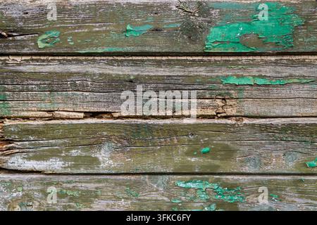 La texture des vieilles planches de bois avec des restes de peinture verte. Gros plan de planches de bois. Banque D'Images