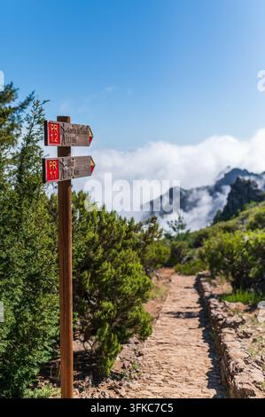 Un panneau de sentier en bois patiné se dresse au bord d'un chemin de randonnée pavé de pierre, avec deux flèches directionnelles pointant vers la droite. Le supérieur s Banque D'Images
